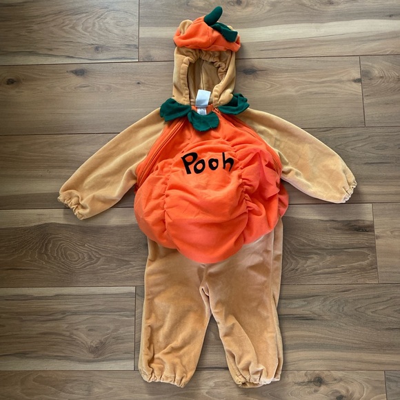 Winnie the Pooh pumpkin costume - Picture 2 of 6